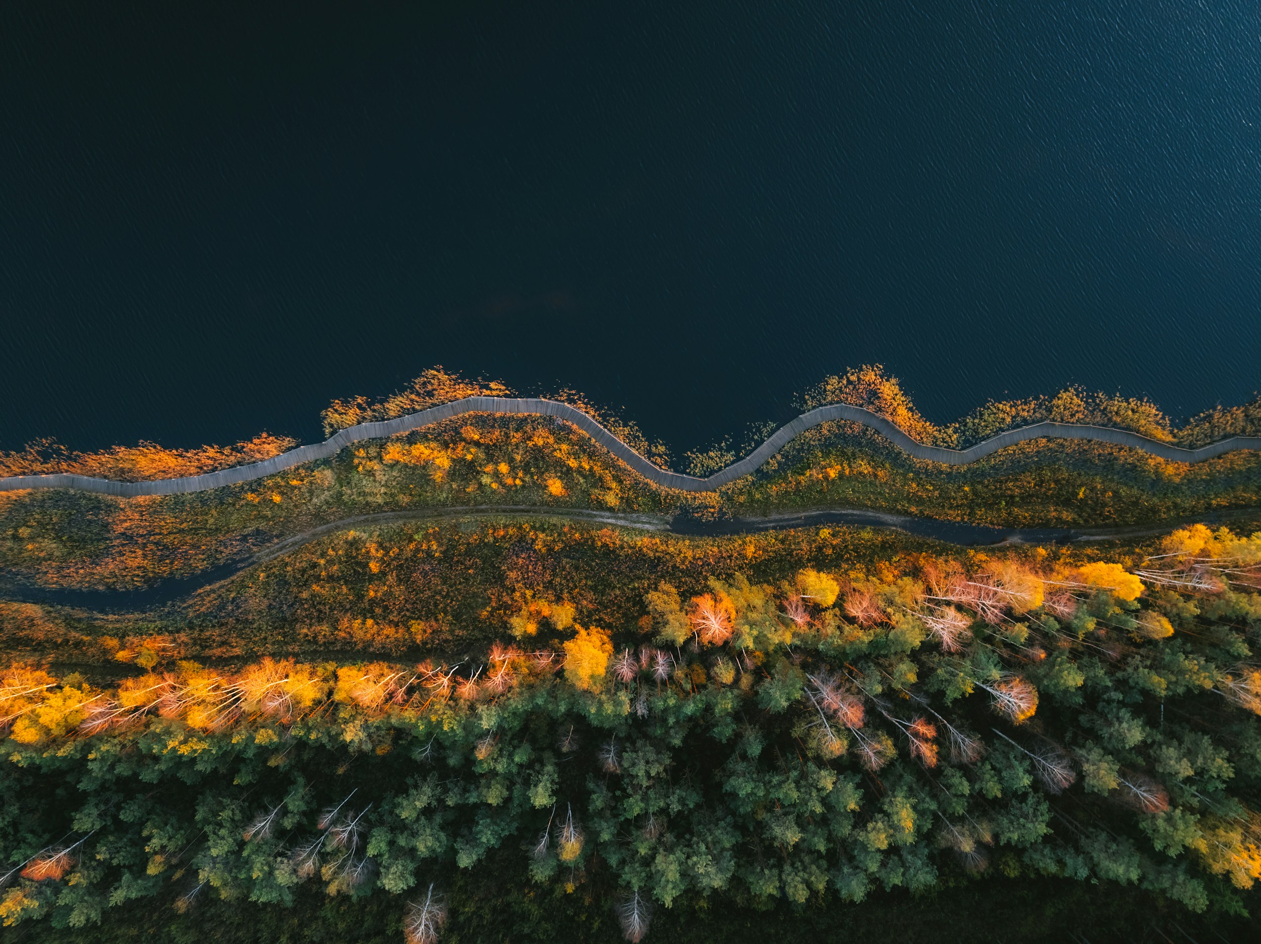 Environmental, Social, and Governance at ERSG