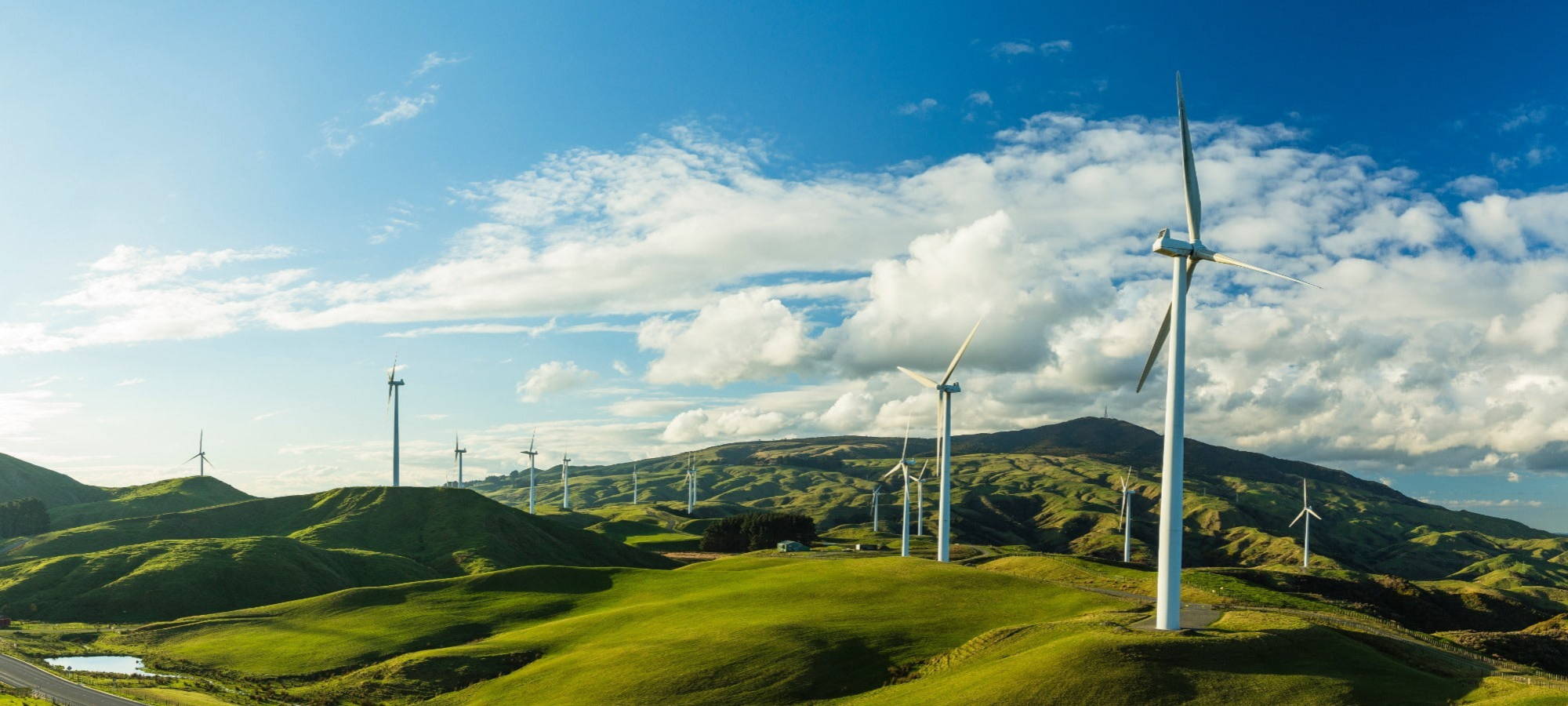 schöner Onshore-Windpark mit grünem Gras und blauem Himmel